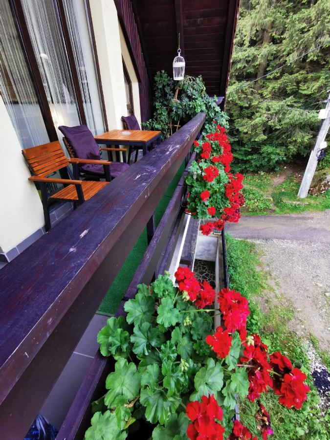 Apartament Kalinderu K1 Bușteni Exterior foto