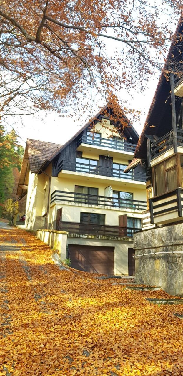 Apartament Kalinderu K1 Bușteni Exterior foto