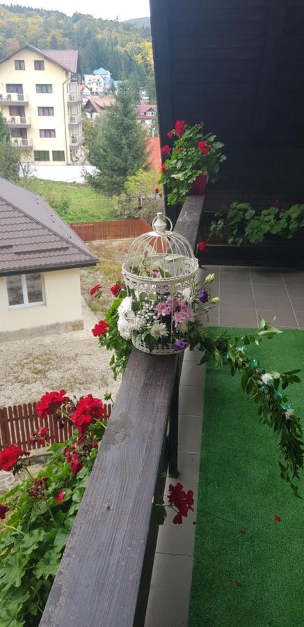 Apartament Kalinderu K1 Bușteni Exterior foto